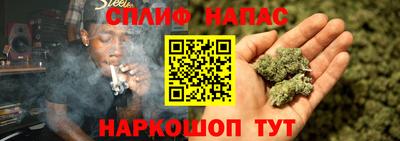 герыч Моздок